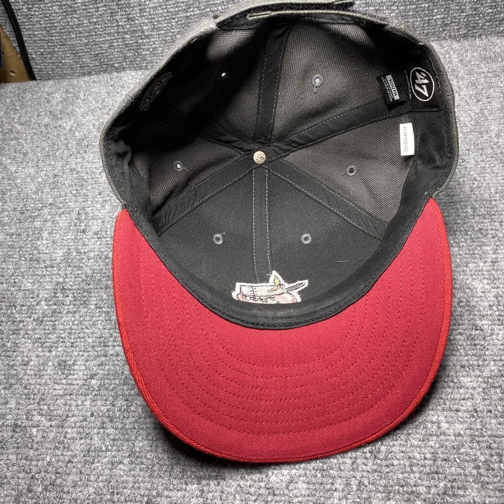 Fort Wayne TinCaps Hat Cap Strap Back Youth Gray Red MILB Baseball Apple Mascot